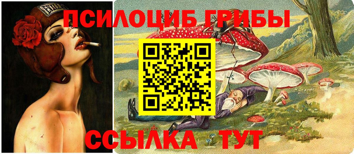 Псилоцибиновые грибы MAGIC MUSHROOMS  Вход с VPN  цены   Набережные Челны  Псилоцибиновые грибы мицелий 
